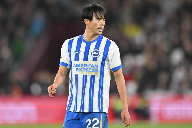 望引进马扎 望引进马扎