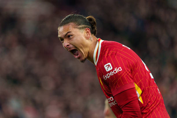 未来展望 未来展望