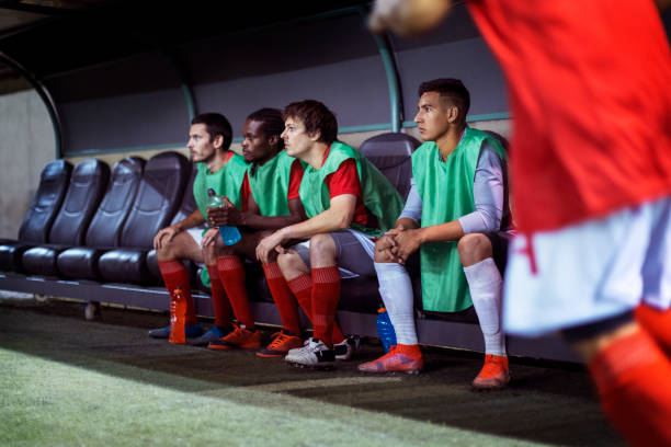 尔的精心栽 尔的精心栽